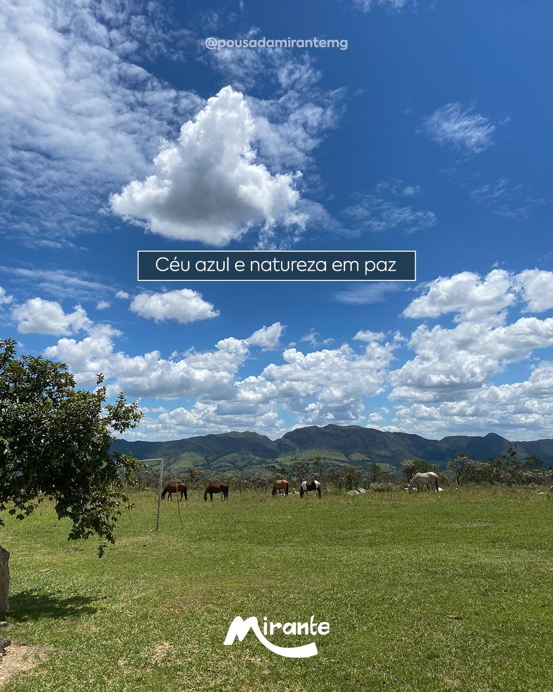 Cavalos pastando no gramado com a serra e o céu azul ao fundo